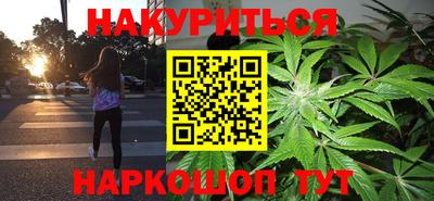 стафф Тосно