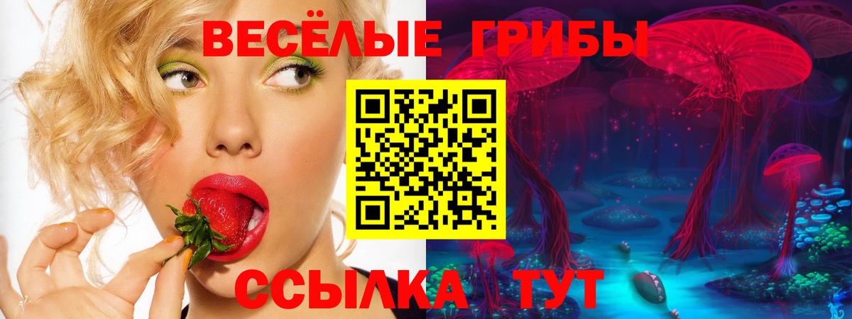 Люберцы  Псилоцибиновые грибы GOLDEN TEACHER  Вход с VPN 